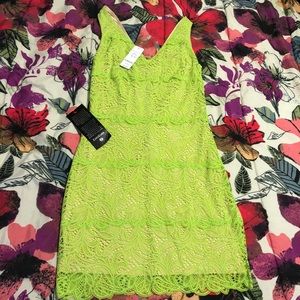 AUTHENTIC BRAND NEW BEBE DRESS SIZE MED WITH TAGS